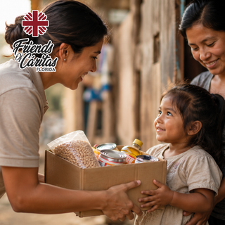 Donación Cáritas
